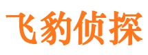 都江堰私家调查公司